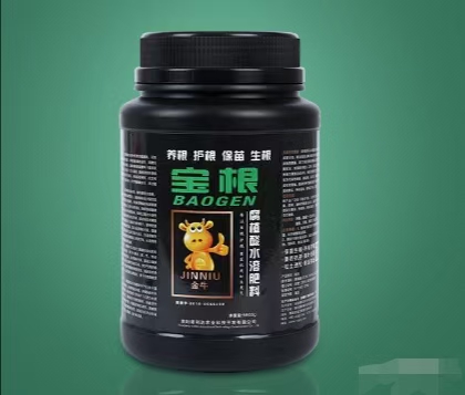 宝根